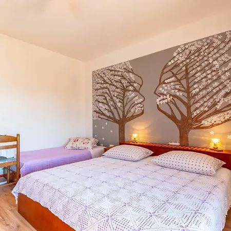 Sea View With Terrase Vl Appartement *